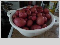 DSCN0605.JPG