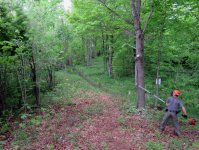 IMG_6594.jpg