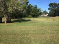 IMG_1171.JPG
