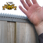 Thorny_Devil_L_Section_Google1393465946530e9a5a62fe5.png
