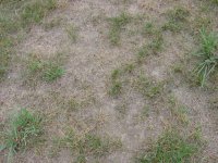 724179-DSC00097.JPG