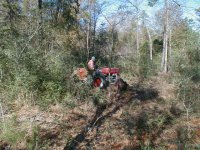 804932-Rake-21.JPG