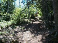 688709-tn_DCP00700.JPG