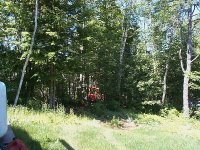 688710-tn_DCP00702.JPG