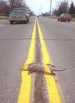 806569-notmyjob_enh_1.jpg