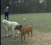 Screen Shot 2018-03-09 at 9.21.22 am.png