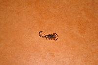 thumb-DSC02258.jpg