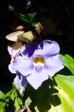 DSC02324.jpg