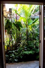 DSC02349 (1).jpg