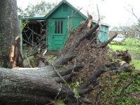 727853-Hurricane Katrina 008 (Medium) (Small).jpg