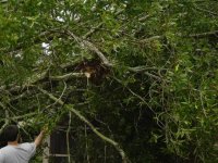 727857-Hurricane Katrina 011 (Medium) (Small).jpg