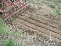 647081-MVC-013S.JPG