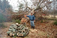 807910-OAK 1.jpg