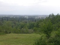 648166-Field 1.jpg