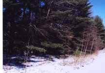 808189-Before.jpg