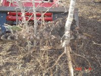 808588-treegetter4.jpg