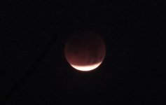 moon eclipse.jpg