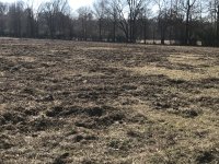 2018-02-04 13.19.54.jpg
