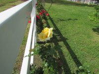 IMG_0041.JPG