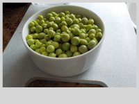 DSCN1152.JPG