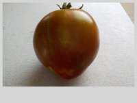 DSCN1157.JPG