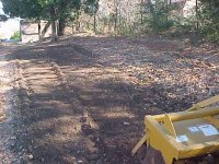 770584-tilling leaves.jpg