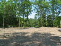 649523-Future Driveway.jpg