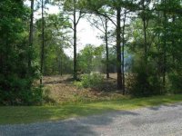 649528-Road View.jpg