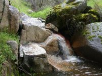 851851-SPRING STREAM.JPG