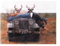 694328-deerhunt (Small).jpg