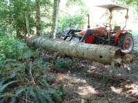 694992-log.jpg