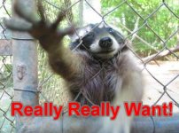 raccoonreallyreallywant.jpg