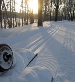 good tracks2017a.jpg