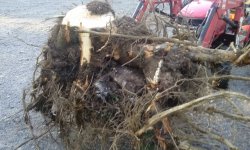 20180507_185708.jpg