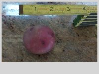 DSCN1051.JPG