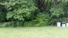 20180817_101647 web.jpg