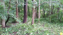 20180817_110820 web.jpg