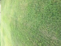 IMG_0015.JPG