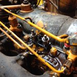 IMG_1900[1].JPG