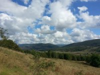 20161001_131419.jpg