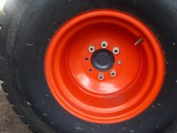 20180917_075646.jpg