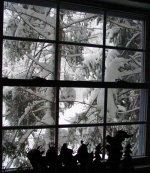 35-222498-KitchenwindowviewWint0203-800.jpg
