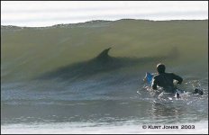 318059-surfshark.jpg