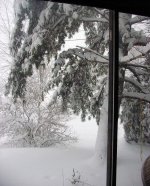 35-222500-KitchenPatioview-800.jpg