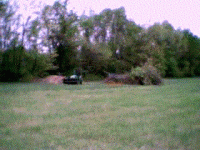 35-46746-Brushpile.GIF