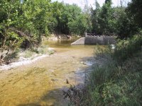 269493-creek3.jpg