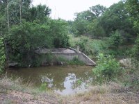 269982-bridge1.jpg