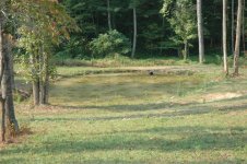 733069-Pond_04 (Small).JPG