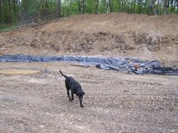 652907-New_well.JPG