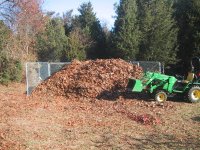 774642-IMG_2060.JPG